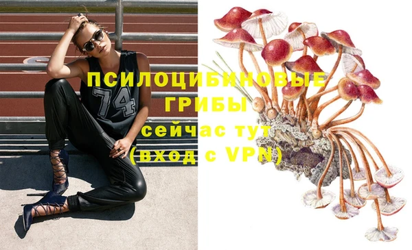 скорость mdpv Алексеевка