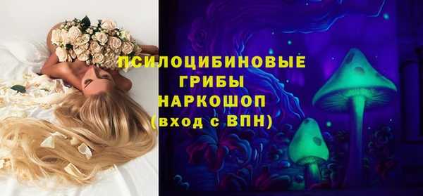 тгк Алексин